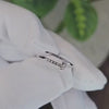 Video Thumbnail 2